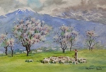 Kashmir Vally, Kashmir & Himachal, Painting by M. K. Kelkar, Watercolour on Paper, 13 X 19